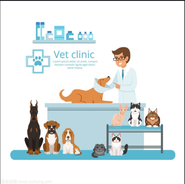 环境影响评价解决方案：沿滩区沿滩新城温斯洛动物医院